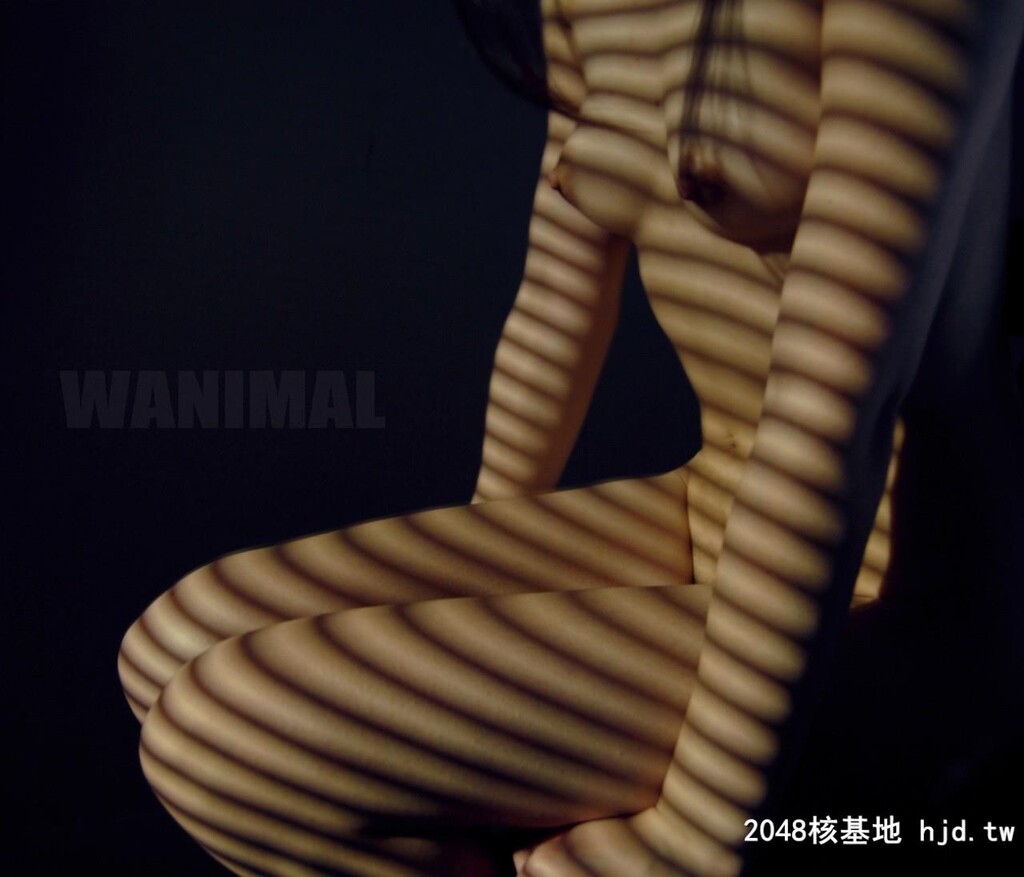 ［WANIMAL王动］Tumblr博客写真作品［50P］第二十一期[50P]第1页 作者:Publisher 帖子ID:91698 TAG:唯美图片,唯美清純,2048核基地