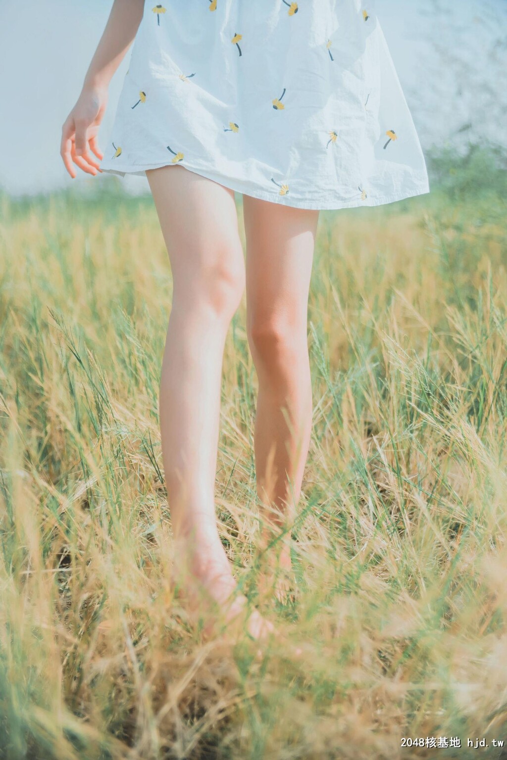 [$][网红COSER]桜桃喵-田野COS写真套图[24p]第0页 作者:Publisher 帖子ID:204304 TAG:唯美图片,唯美清純,2048核基地