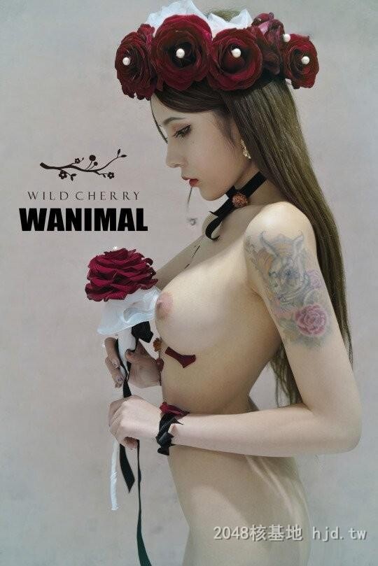 王动WANIMAL作品346[20p]第0页 作者:Publisher 帖子ID:284852 TAG:日本图片,亞洲激情,2048核基地