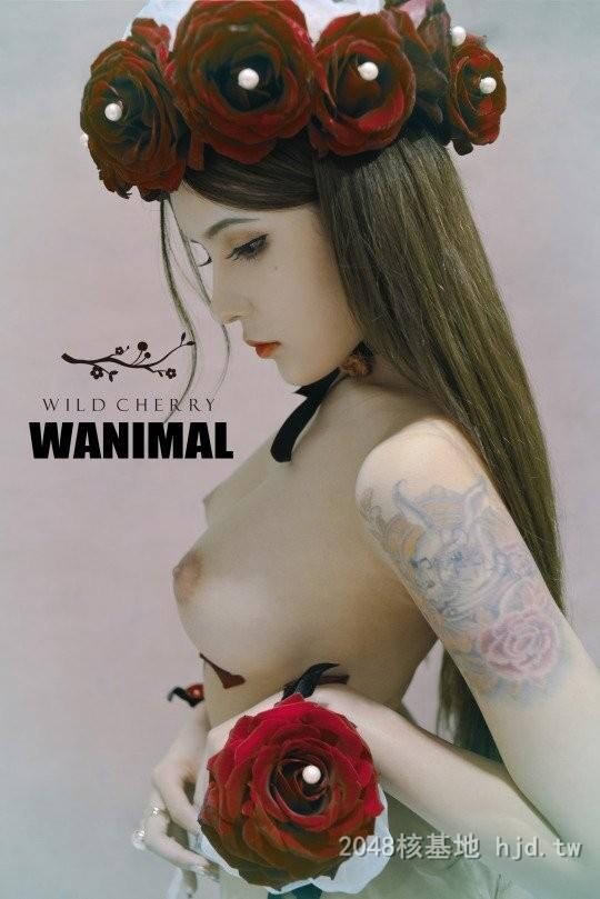 王动WANIMAL作品346[20p]第0页 作者:Publisher 帖子ID:284852 TAG:日本图片,亞洲激情,2048核基地